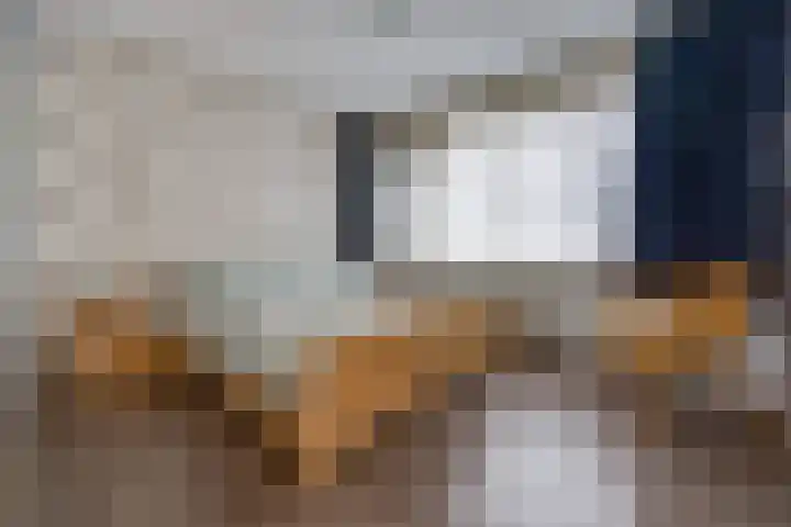 De Dreef 20 Stadskanaal thumbnail 25