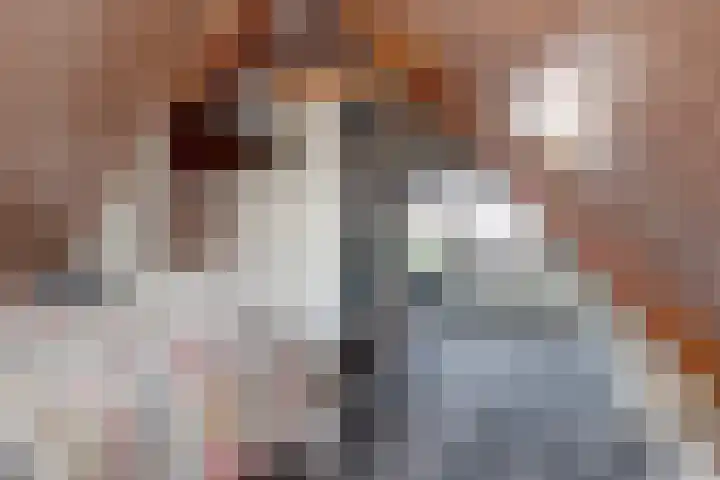 De Dreef 3 B013 Opmeer thumbnail 15
