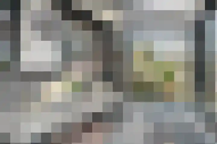 De Dreef 3 B013 Opmeer thumbnail 19
