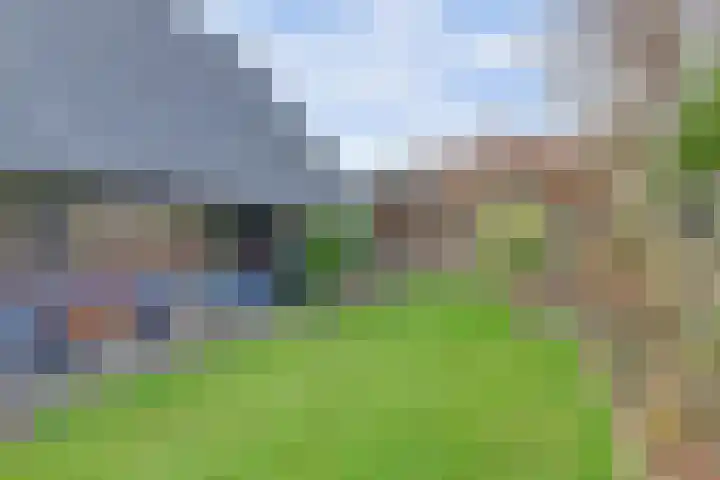De Dreef 3 B013 Opmeer thumbnail 26