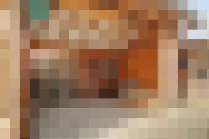 De Dreef 3 B013 Opmeer thumbnail 27