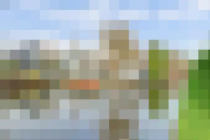 De Dreef 3 B013 Opmeer thumbnail 29