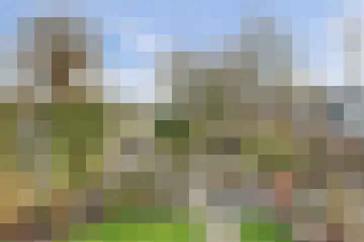 De Dreef 3 B013 Opmeer thumbnail 33