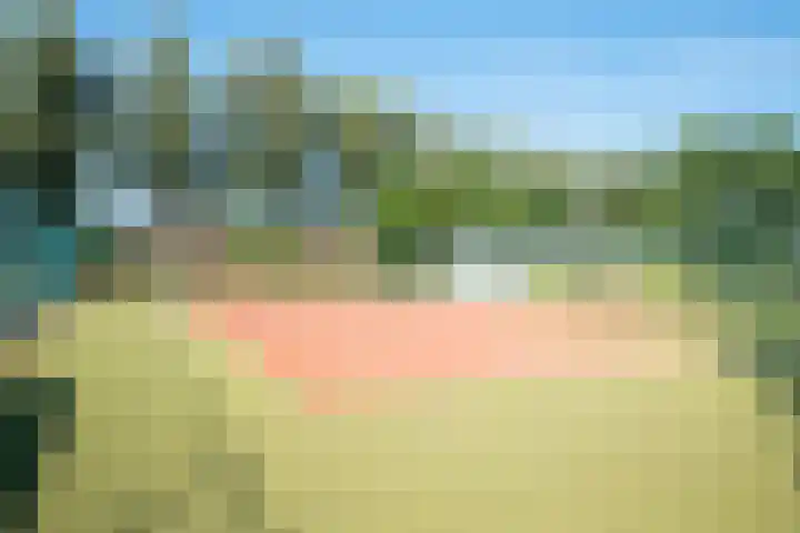 De Dreef 3 B013 Opmeer thumbnail 34