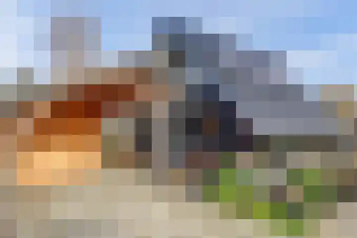 De Dreef 3 B013 Opmeer thumbnail 4