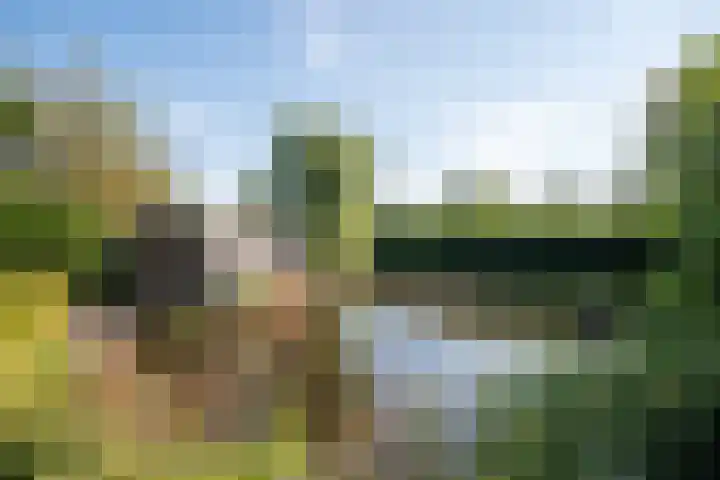 De Dreef 3 B013 Opmeer thumbnail 6