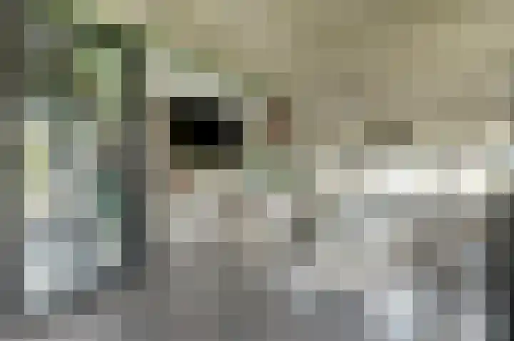 De Dreef 3 B013 Opmeer thumbnail 9