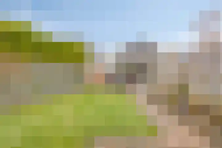 De Dreef 3 B018 Opmeer