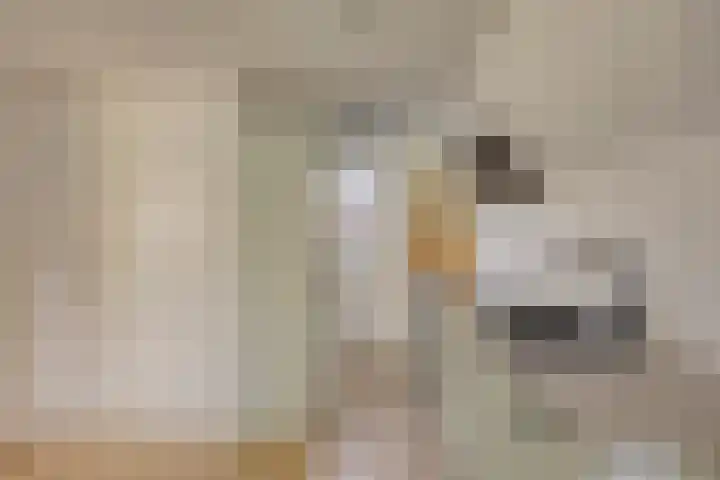 De Dreef 3 B018 Opmeer thumbnail 11