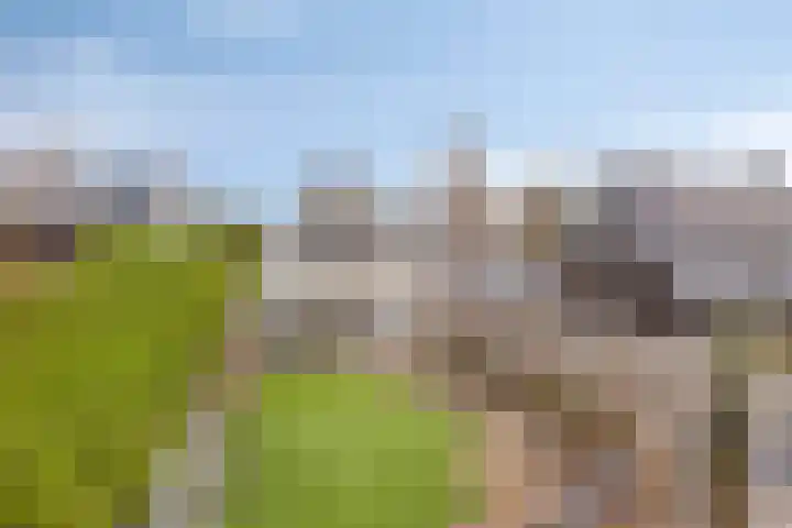 De Dreef 3 B018 Opmeer thumbnail 17
