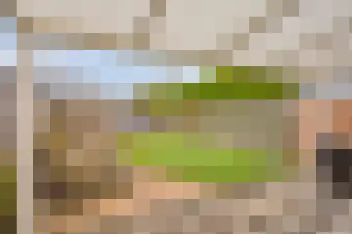 De Dreef 3 B018 Opmeer thumbnail 20