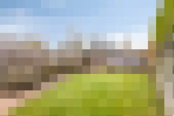 De Dreef 3 B018 Opmeer thumbnail 21