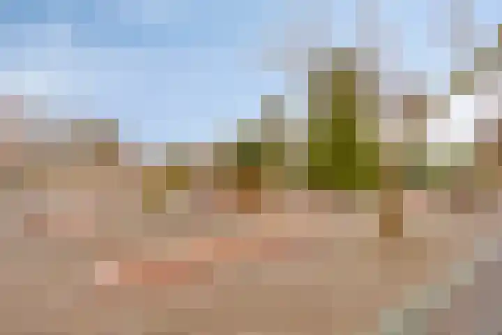 De Dreef 3 B018 Opmeer thumbnail 24