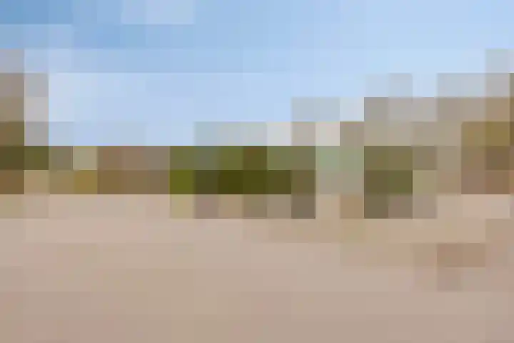 De Dreef 3 B018 Opmeer thumbnail 25