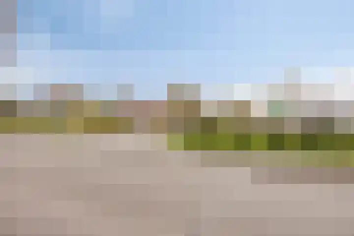De Dreef 3 B018 Opmeer thumbnail 26