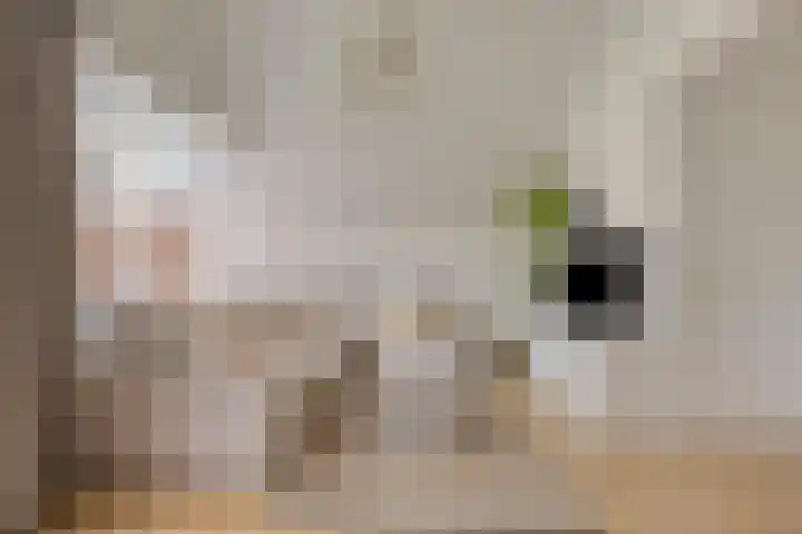 De Dreef 3 B018 Opmeer thumbnail 4