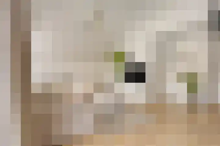 De Dreef 3 B018 Opmeer thumbnail 5