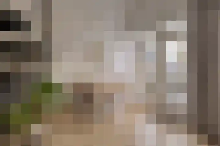 De Dreef 3 B018 Opmeer thumbnail 6