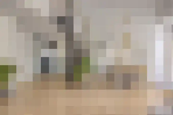 De Dreef 3 B018 Opmeer thumbnail 8