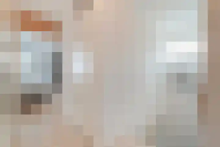De Dreef 46 Schagen thumbnail 30