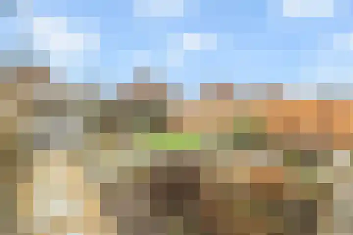 De Dreef 46 Schagen thumbnail 48