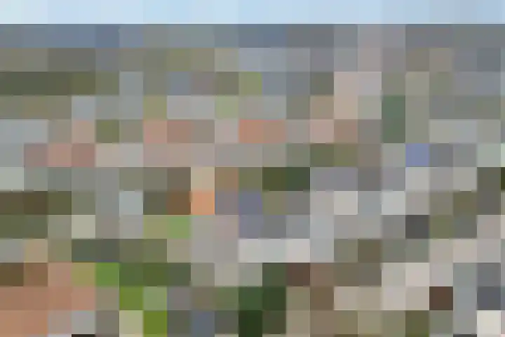 De Dreef 46 Schagen thumbnail 52