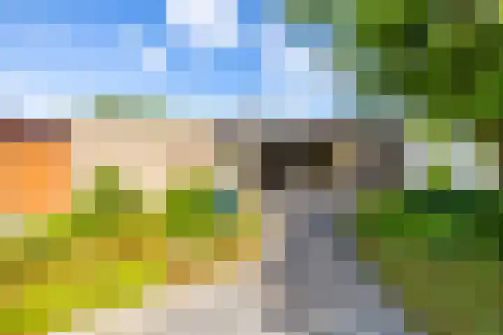 De Drie Rozen 22 Bedum