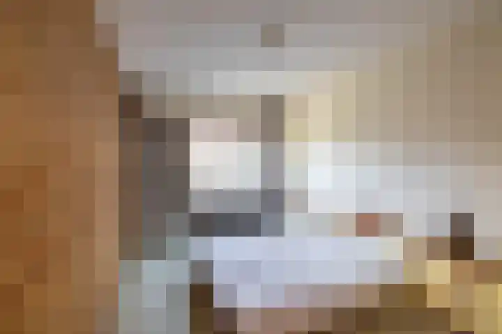 De Drie Rozen 22 Bedum thumbnail 22