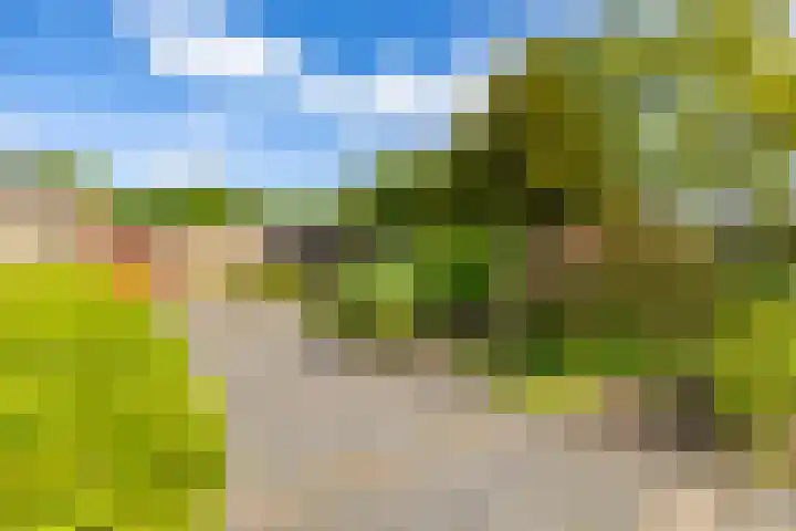 De Drie Rozen 22 Bedum foto 3