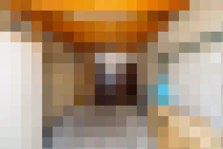 De Drie Rozen 22 Bedum thumbnail 31