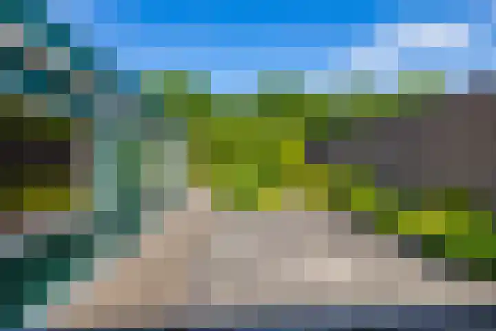 De Drie Rozen 22 Bedum thumbnail 33