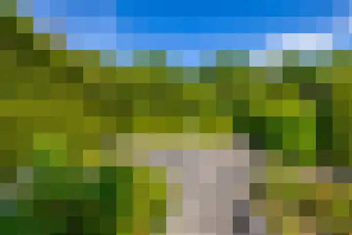 De Drie Rozen 22 Bedum thumbnail 34