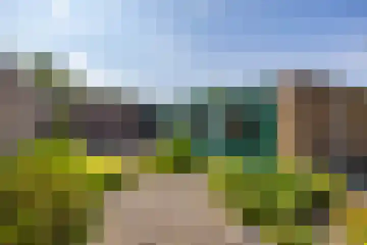 De Drie Rozen 22 Bedum thumbnail 35