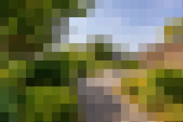 De Drie Rozen 22 Bedum thumbnail 5