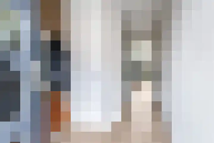 De Dries 39 Heteren thumbnail 11