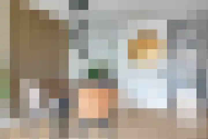 De Dries 39 Heteren thumbnail 27