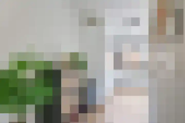 De Dries 39 Heteren thumbnail 29