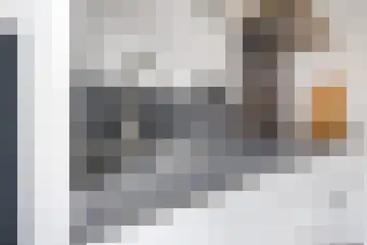 De Dries 39 Heteren thumbnail 32