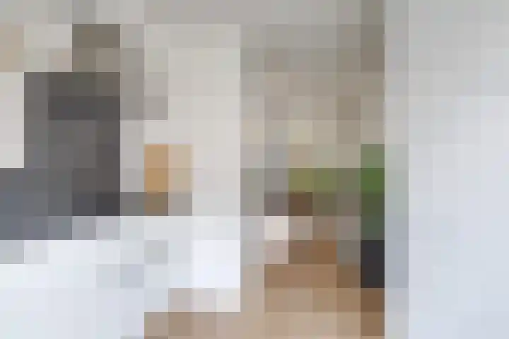 De Dries 39 Heteren thumbnail 33