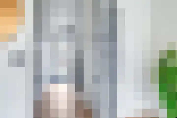 De Dries 39 Heteren thumbnail 36