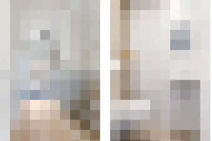 De Dries 39 Heteren thumbnail 37