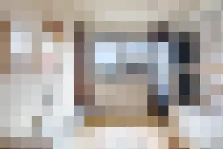 De Dries 39 Heteren thumbnail 46
