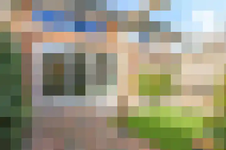 De Dries 39 Heteren thumbnail 5