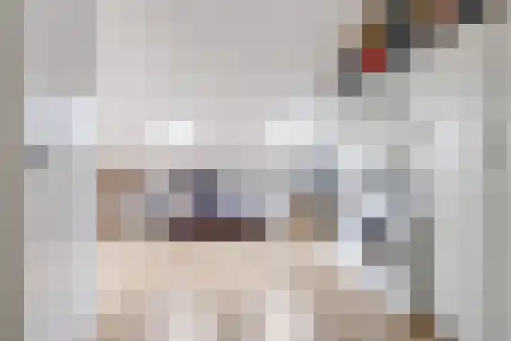De Dries 39 Heteren thumbnail 52