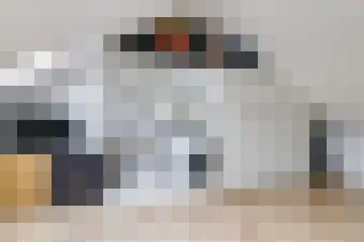 De Dries 39 Heteren thumbnail 55