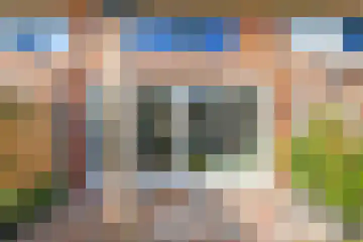 De Dries 39 Heteren thumbnail 58