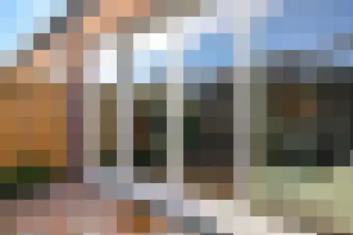De Dries 39 Heteren thumbnail 59