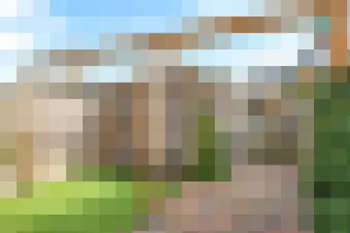 De Dries 39 Heteren thumbnail 61