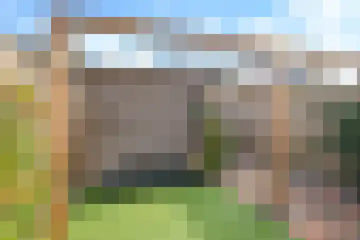 De Dries 39 Heteren thumbnail 62