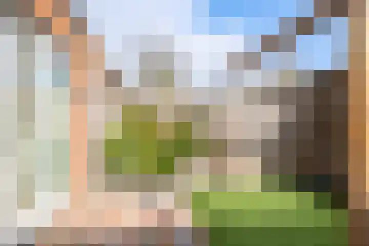 De Dries 39 Heteren thumbnail 63